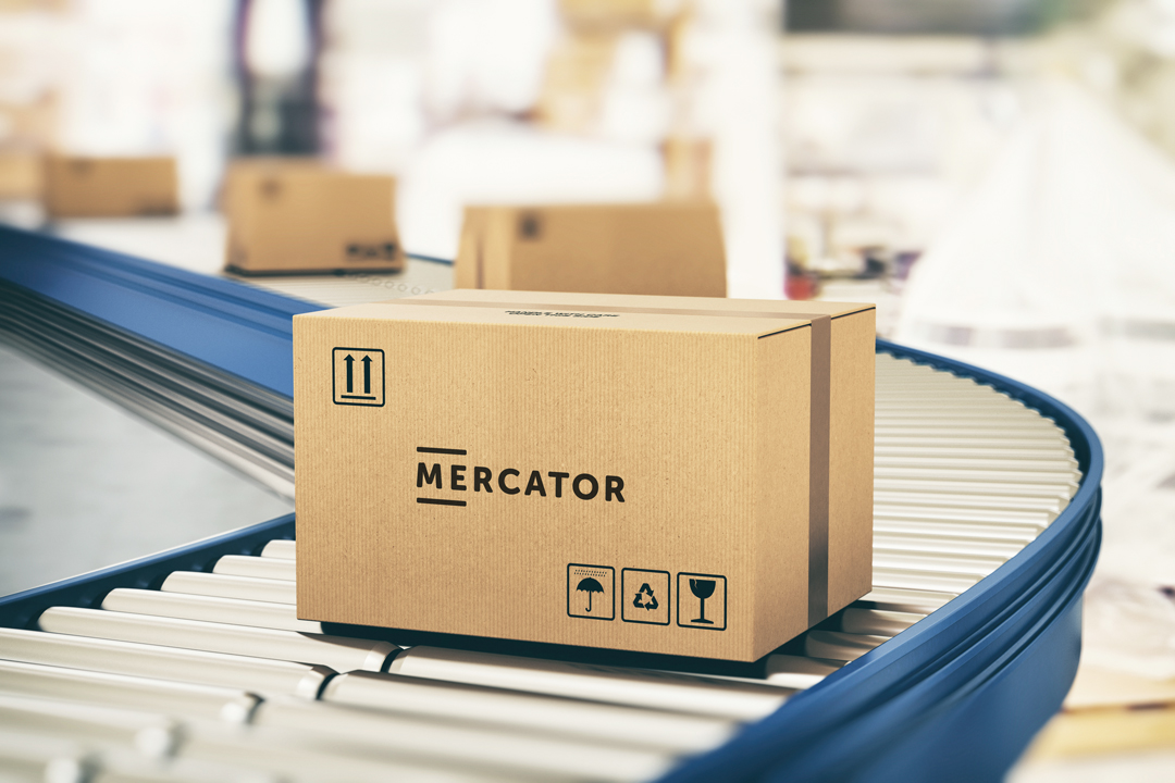 Skład Grupy Mercator Medical